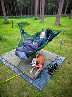 Van Camping June 2024, Cannock Chase and Shell Island-5