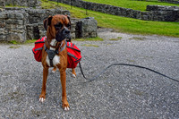 Clywedog reservoir and Hafren Forest Wildcamp June 2014-22