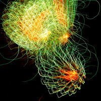 Fireworks Longford Park 2009-58.jpg