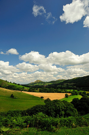 Long Mynd_2009_08_07_97_.jpg