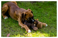 Brewster first photos -60