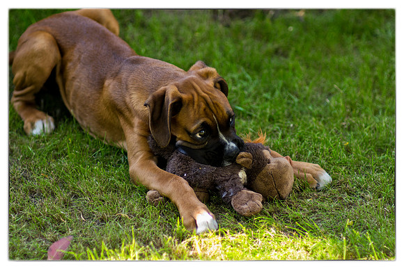 Brewster first photos -60