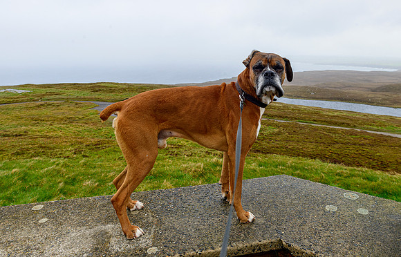 NC500 Day Six-144