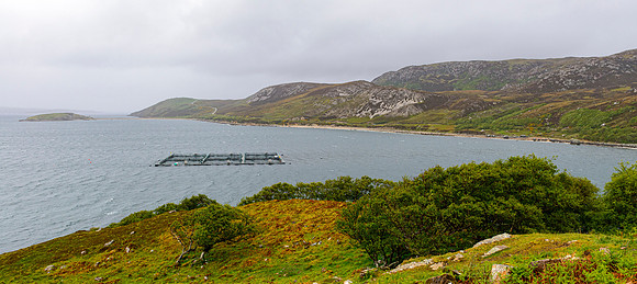 NC500 Day Six-99