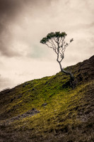 20190519_201223-Edit-Edit