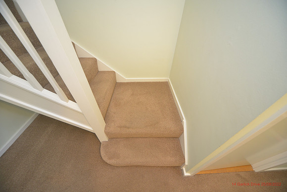 14 Garlick Drive Aug 2022 075