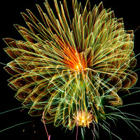 Fireworks Longford Park 2009-59.jpg