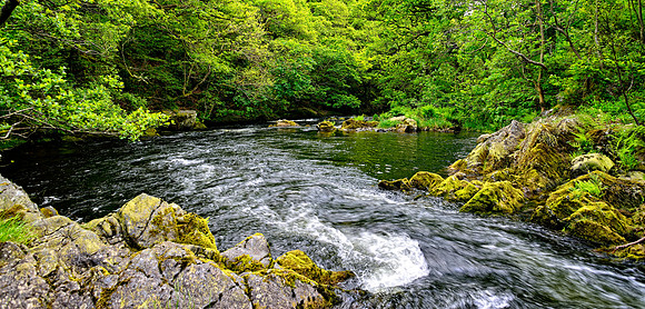 Clywedog reservoir and Hafren Forest Wildcamp June 2014-19