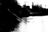 Lichfield_2009_10_31_18_.jpg