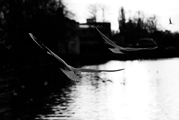 Lichfield_2009_10_31_18_.jpg