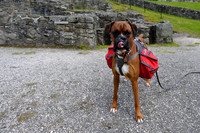 Clywedog reservoir and Hafren Forest Wildcamp June 2014-21