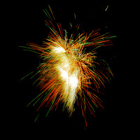 Fireworks Longford Park 2009-51.jpg