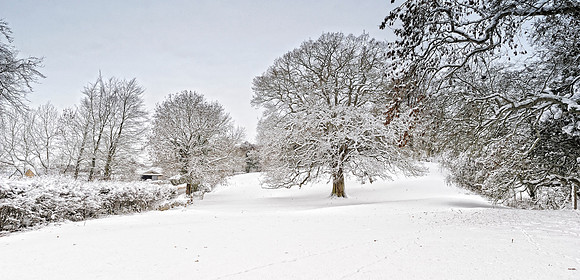 Ilmington December 2010-17