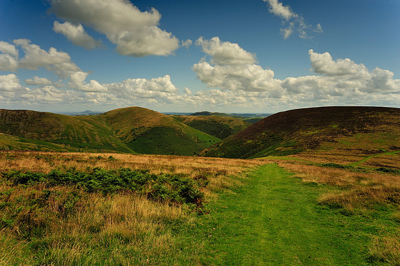 Long Mynd_2009_08_07_82_.jpg