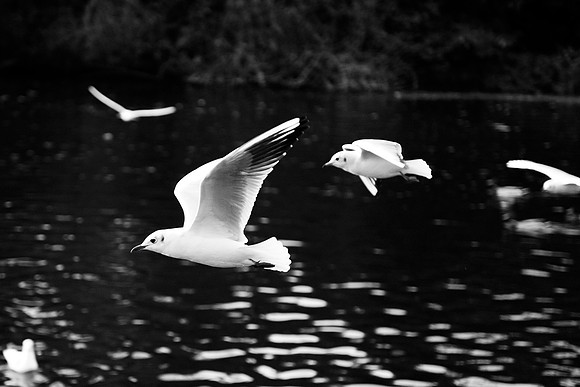 Lichfield_2009_10_31_20_.jpg