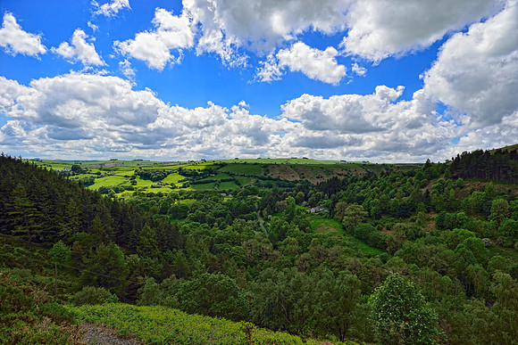 Clywedog reservoir and Hafren Forest Wildcamp June 2014-27