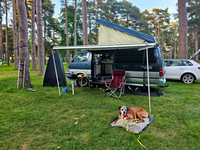 Van Camping June 2024, Cannock Chase and Shell Island-4