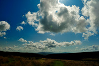 Long Mynd_2009_08_07_32_.jpg
