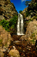 Long Mynd_2009_08_07_18_.jpg