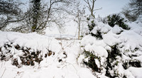 Ilmington December 2010-18