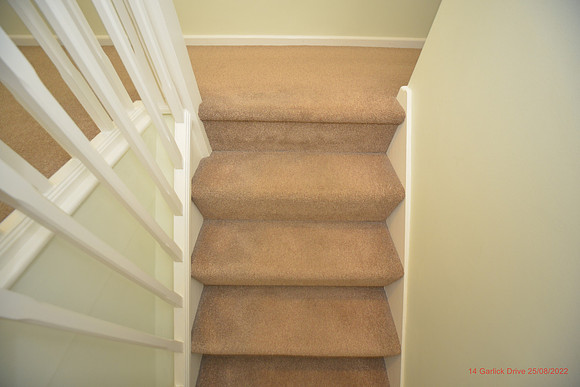14 Garlick Drive Aug 2022 082