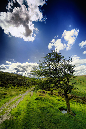 Long Mynd_2009_08_07_86_b.jpg