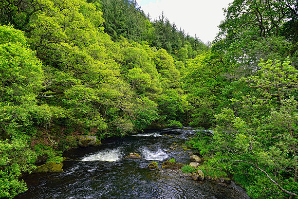 Clywedog reservoir and Hafren Forest Wildcamp June 2014-31