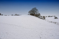 Ilmington December 2010-2
