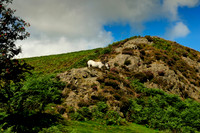 Long Mynd_2009_08_07_22_.jpg
