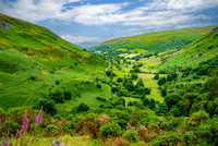 Pistyl Rhaeadr Waterfall June 2024-27-Edit