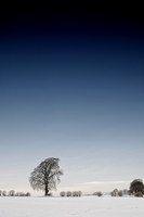 Ilmington December 2010-15