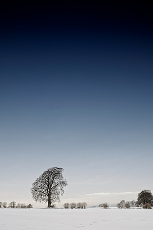 Ilmington December 2010-15