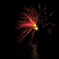 Fireworks Longford Park 2009-17.jpg