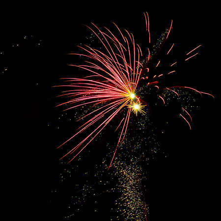 Fireworks Longford Park 2009-17.jpg