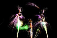 Fireworks Longford Park 2009-2.jpg