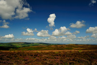 Long Mynd_2009_08_07_36_.jpg