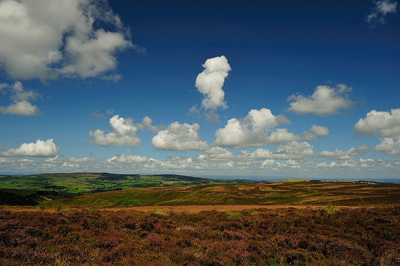 Long Mynd_2009_08_07_36_.jpg