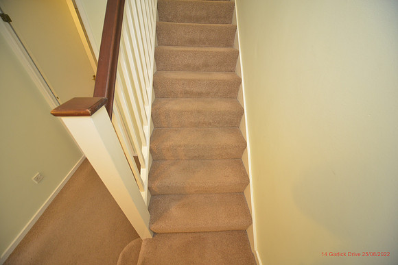 14 Garlick Drive Aug 2022 080