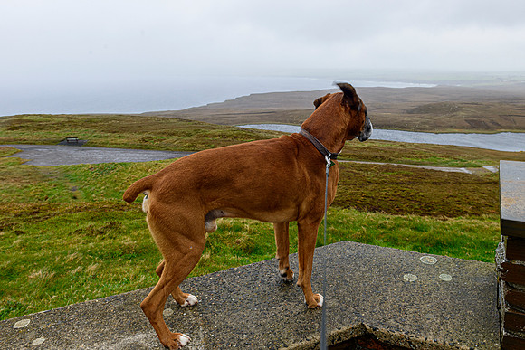 NC500 Day Six-140